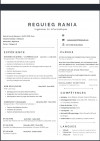 ingénieur en informatique ou commerciale