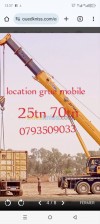 location grue mobile 25tn 70tn 