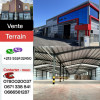 Vente Terrain Alger Sidi moussa