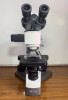 Microscope MICROS mcx100