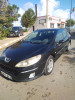 Peugeot 407 2008 407