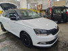 Skoda Fabia 2019 Monte Carlo