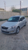 Skoda Fabia 2014 Fresh