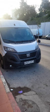 Fiat Ducato L2H2 2023 