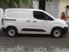 Fiat Doblo 2024 brofEsslonal