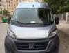 Fiat Ducato 2023