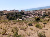 Vente Terrain Tipaza Cherchell