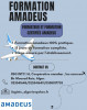 FORMATION AMADEUS