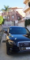 Audi Q5 2010 S Line Pack Tech