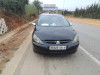 Peugeot 307 2005 307