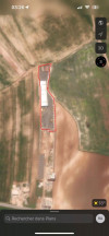 Vente Hangar Bouira Oued el berdi