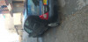 Renault Clio 2 2003 Clio 2