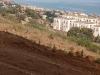 Vente Terrain Tipaza Larhat