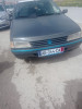 Peugeot Sr 1989 405