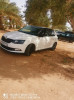 Skoda Fabia 2017 Monte Carlo