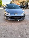 Peugeot 407 2004 407