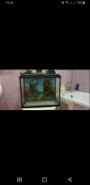 Aquarium pour poisson 