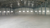 Location Hangar Alger Les eucalyptus