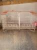 Vente cages pour oiseaux 