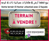 Vente Terrain Alger Bachdjerrah