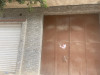 Location bien immobilier Mascara Mohammadia