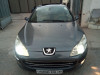 Peugeot 407 2006 toutes les options