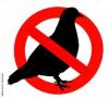 Pic anti pigeons