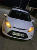 Ford Fiesta 2011 City