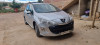 Peugeot 308 2011 308