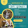 Dératisation Désinsectisation Désinfection Service 3D