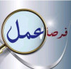 فرصة عمل 