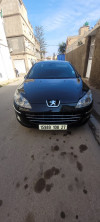 Peugeot 407 2008 