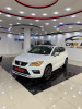 Seat ATECA 2019 Bêtes