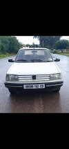 Peugeot 309 1992 309