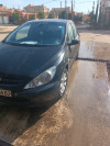 Peugeot 307 2004 307