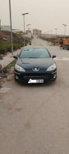 Peugeot 407 2010 407