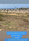 Vente Terrain Mostaganem Mostaganem