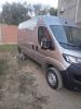 Ducato Fiat 2023