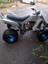 Raptor Yamaha 2014