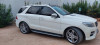 Mercedes ML 2013 250 CDI Pack AMG