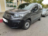 Fiat Professional Doblo 2024 M