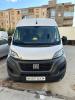 Fiat Ducato 2023