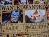 One Piece Wanted Poster 