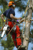  Aménagement Des Espaces Verts, desherbage elagage