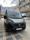 ducato Fiat 2024