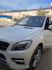 Mercedes ML 2013 250 CDI Pack AMG