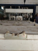 machine extrudeuse