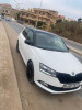 Skoda Fabia 2020 Monte Carlo