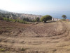 Vente Terrain Tipaza Larhat