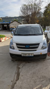 Hyundai H1 2010